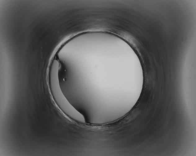 X0000082931480200703020054