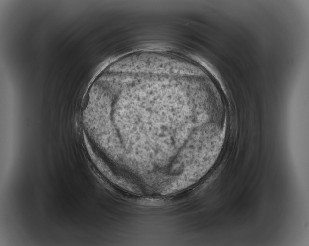 X0000082931481200703020054