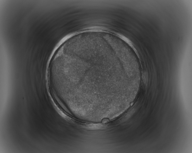 X0000082931482200703020054