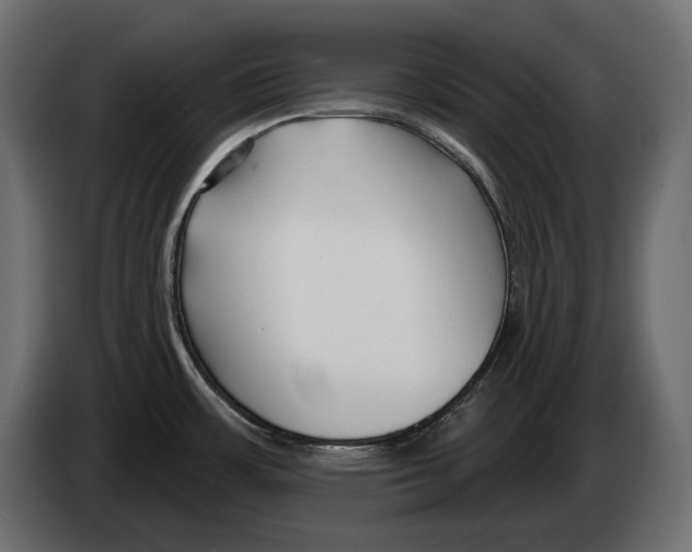 X0000082931483200703020054