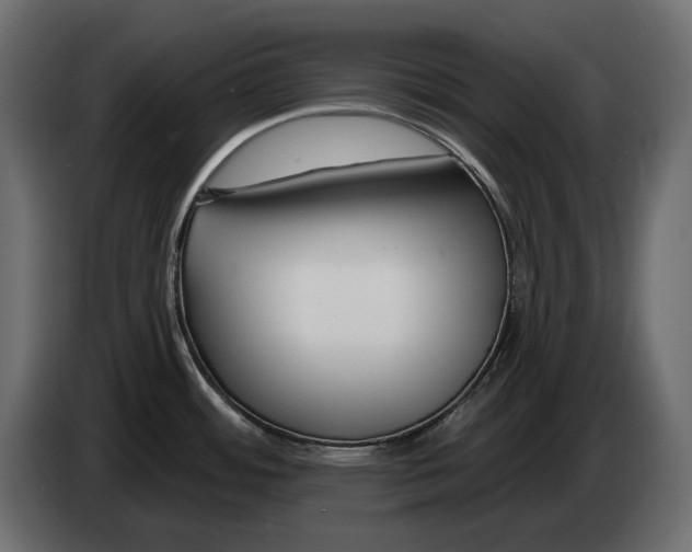 X0000082931484200703020054