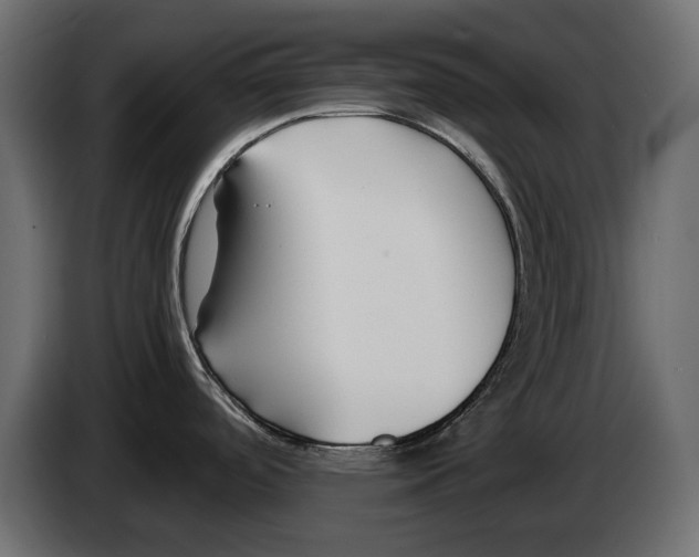 X0000082931488200703020054