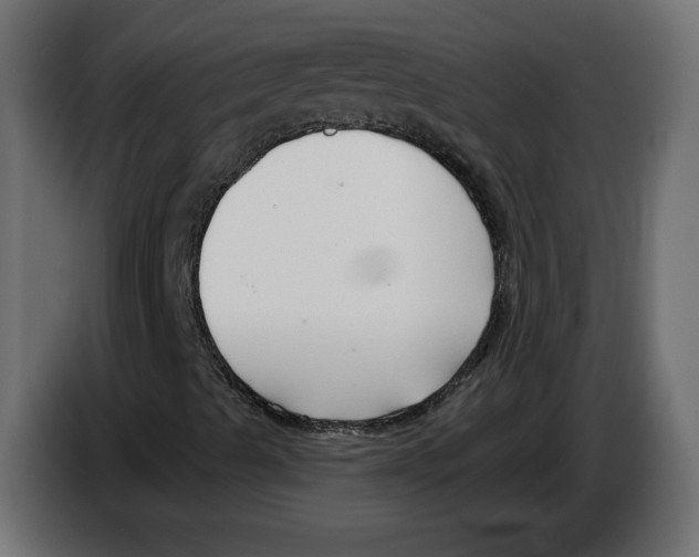 X0000082931489200703020053
