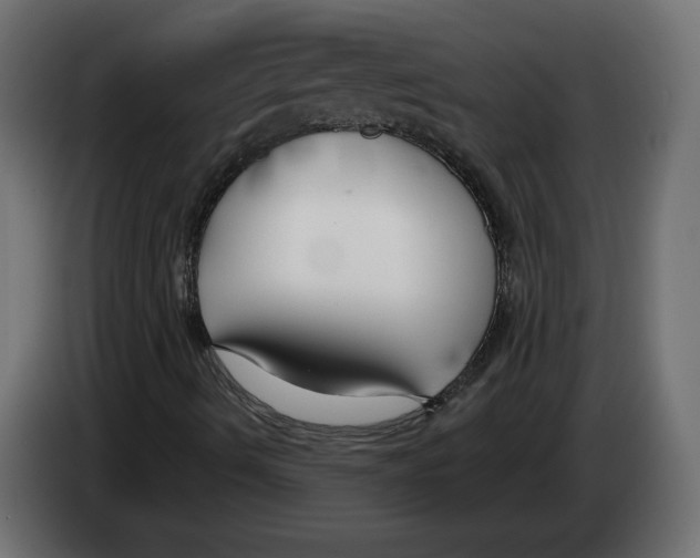 X0000082931490200703020053