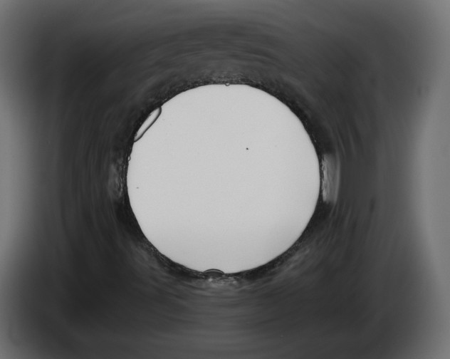 X0000082931491200703020053