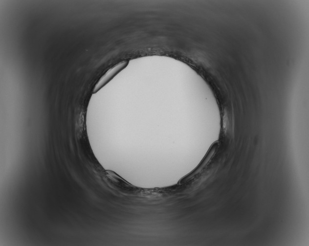 X0000082931492200703020053