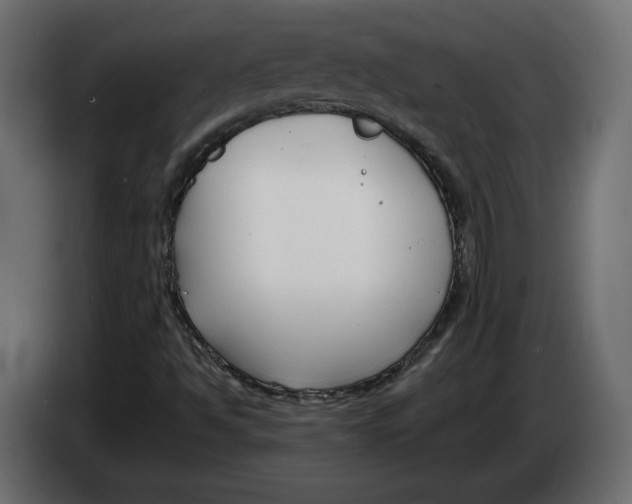 X0000082931494200703020054