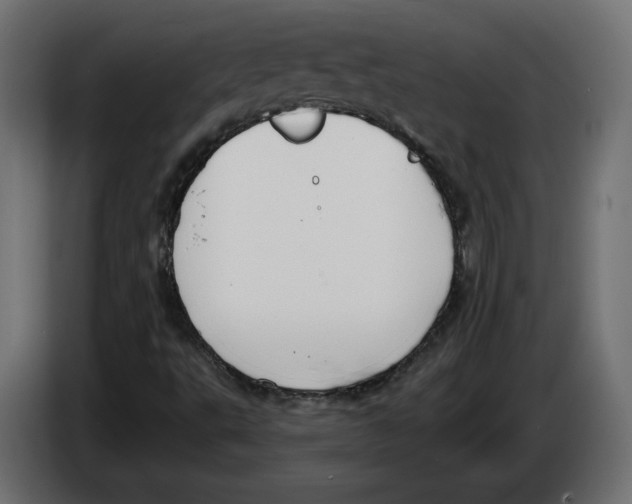 X0000082931495200703020054