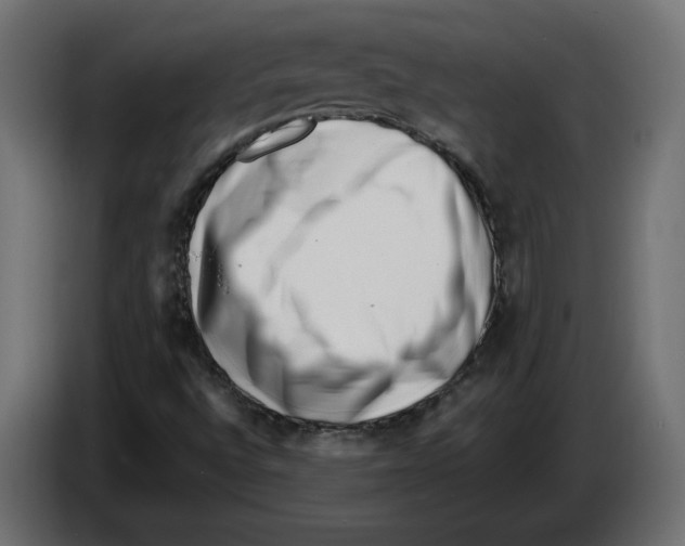 X0000082931496200703020054