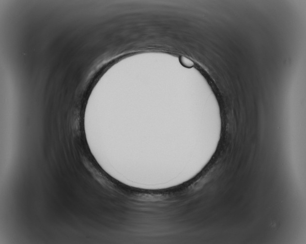 X0000082931499200703020054