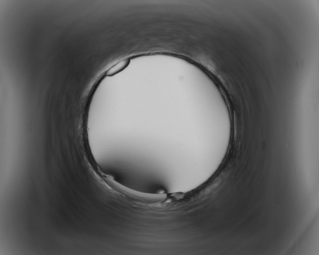X0000082931500200703020054