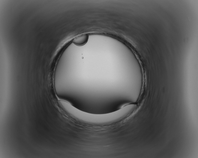 X0000082931501200703020054