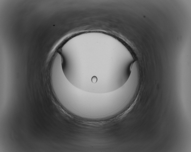 X0000082931502200703020054