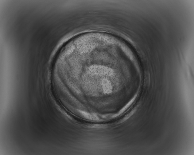 X0000082931506200703020054