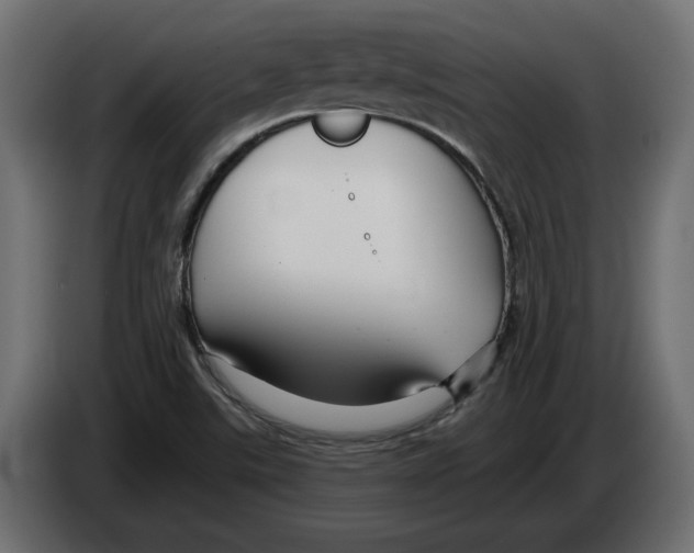 X0000082931507200703020054