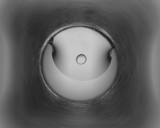 X0000082931508200703020054