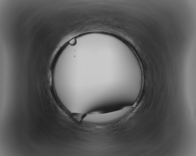 X0000082931509200703020054