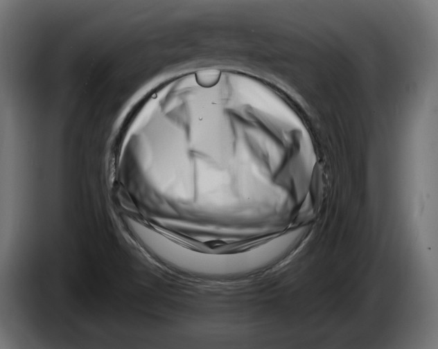 X0000082931510200703020054