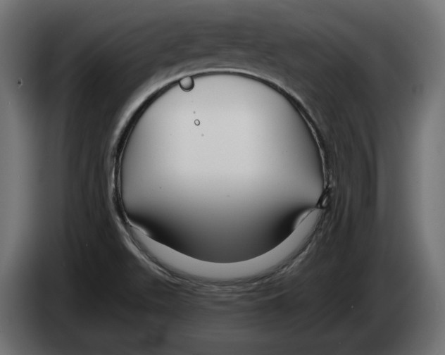 X0000082931511200703020054