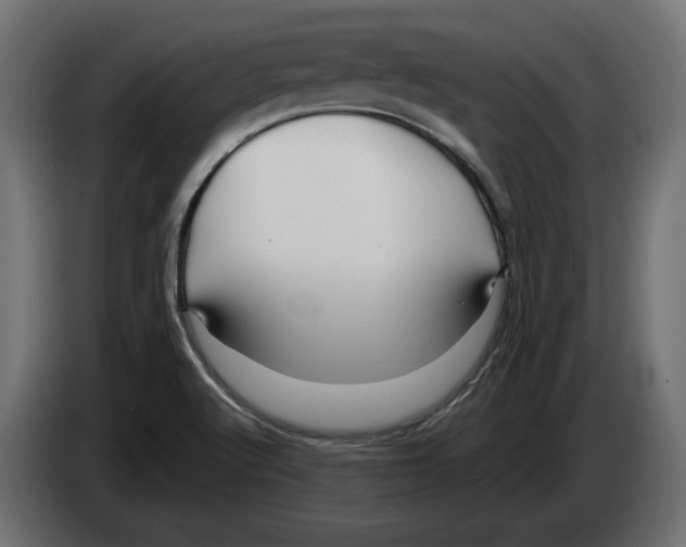 X0000082931512200703020054
