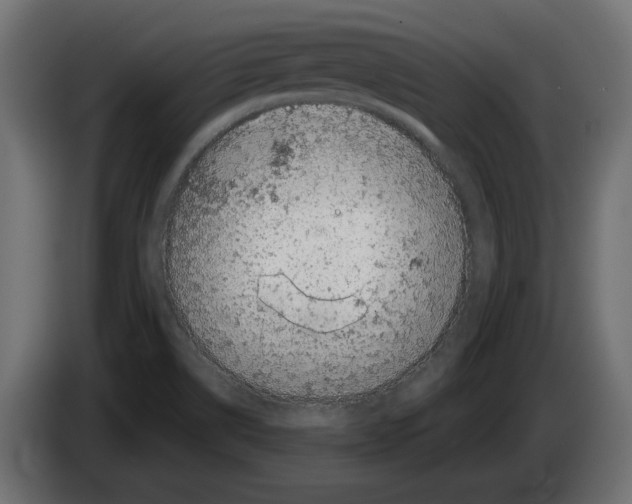 X0000082931514200703020054