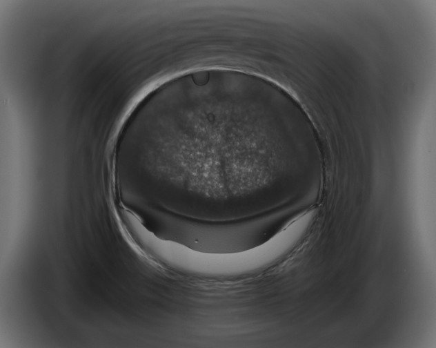 X0000082931515200703020054