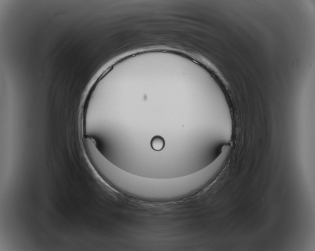 X0000082931516200703020054