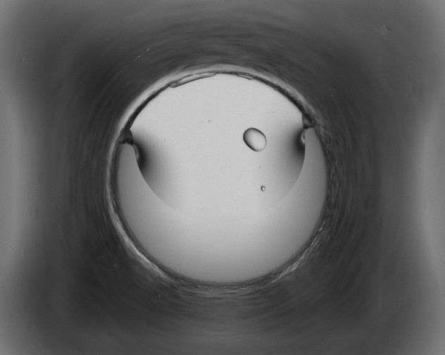 X0000082931518200703020054