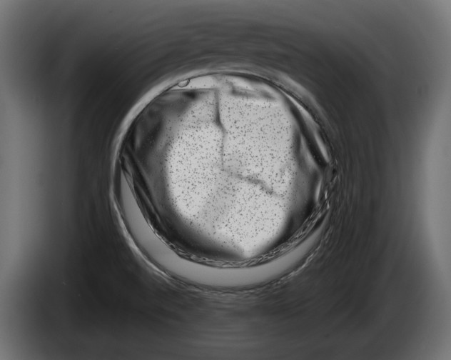 X0000082931520200703020054
