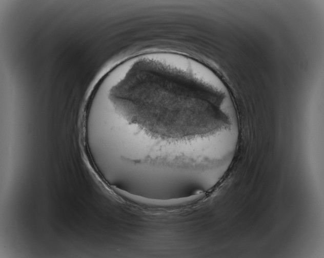 X0000082931522200703020054