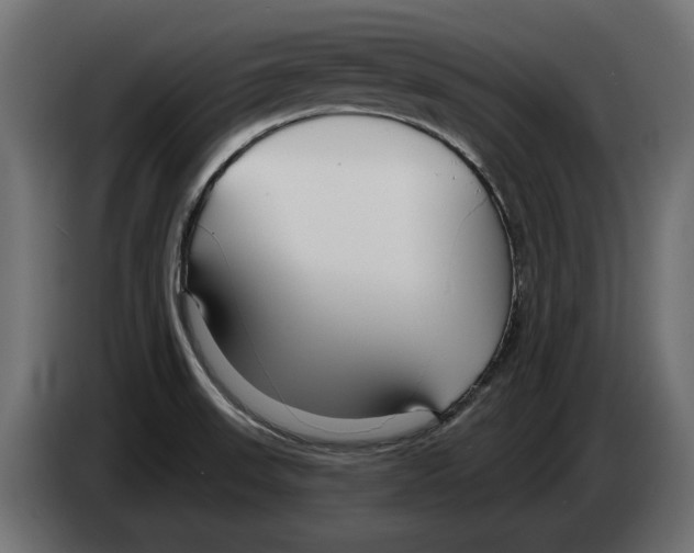 X0000082931523200703020054