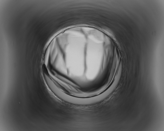 X0000082931524200703020054