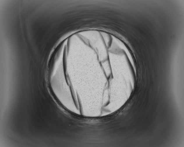 X0000082931525200703020054