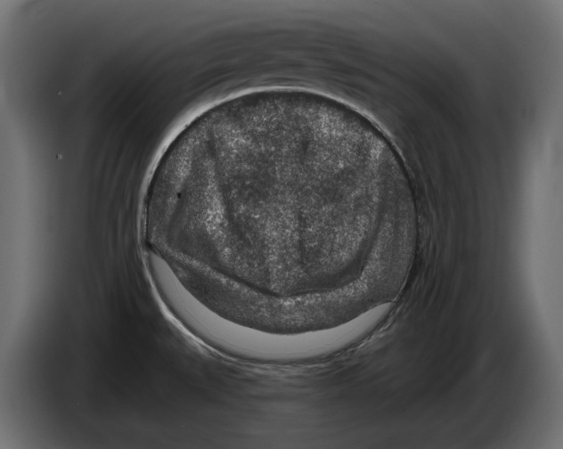 X0000082931527200703020054