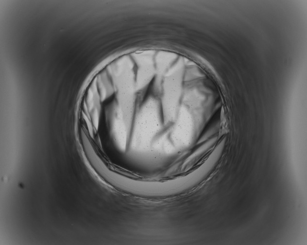 X0000082931528200703020054