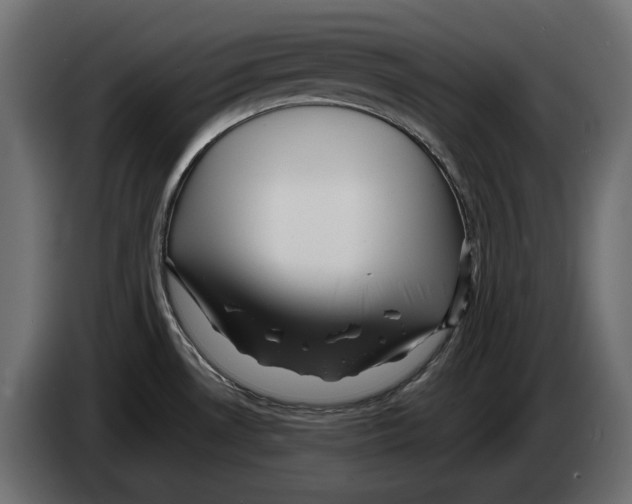 X0000082931530200703020054
