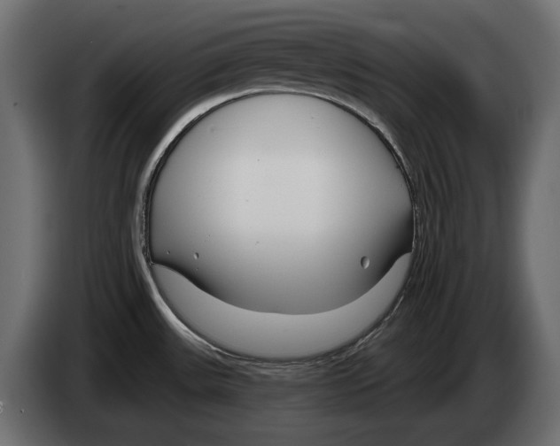 X0000082931531200703020054