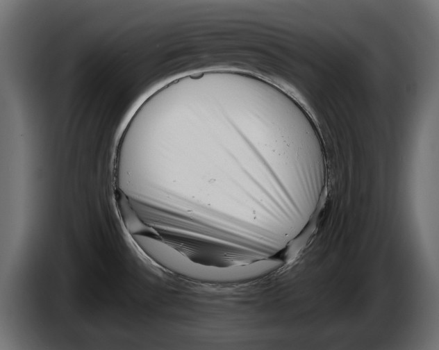 X0000082931532200703020054