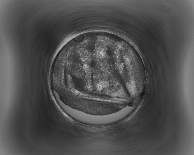 X0000082931533200703020054