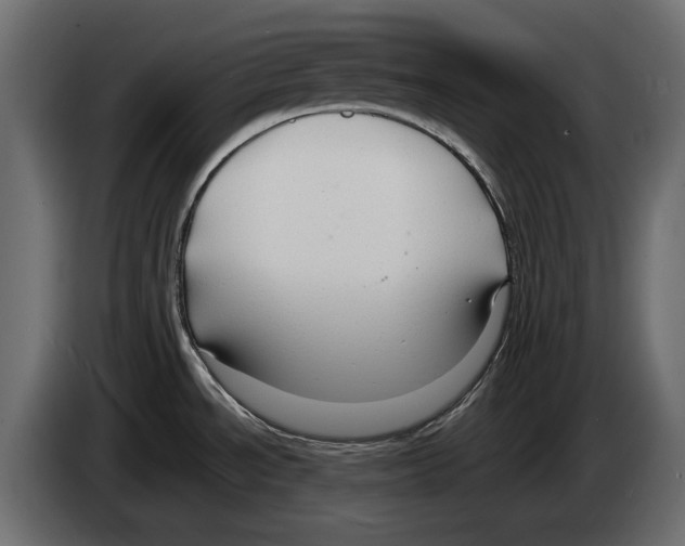 X0000082931534200703020054