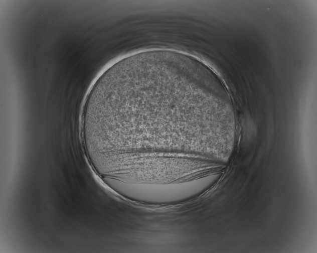 X0000082931535200703020054