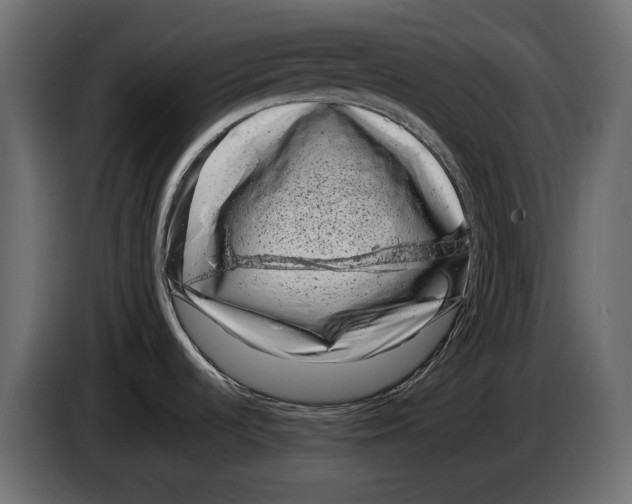 X0000082931536200703020054