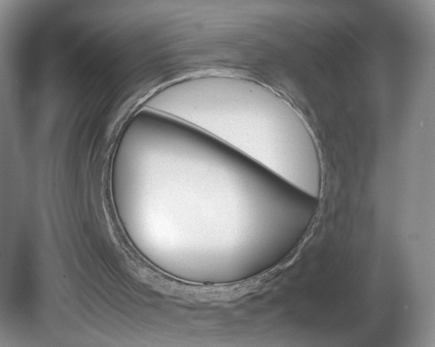 X0000082940001200702011124
