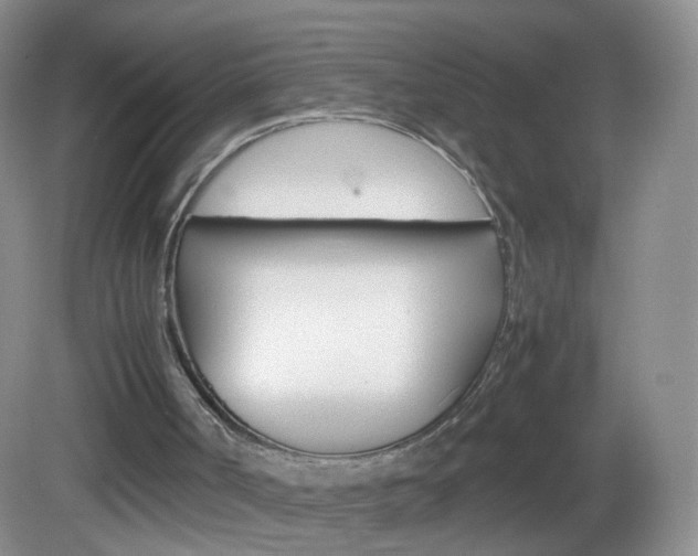 X0000082940002200702011124