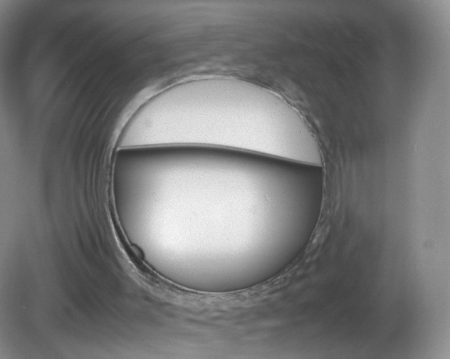 X0000082940003200702011124