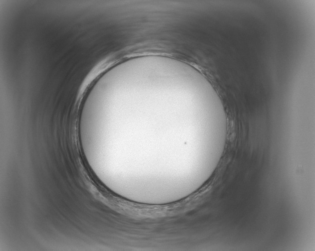 X0000082940004200702011124