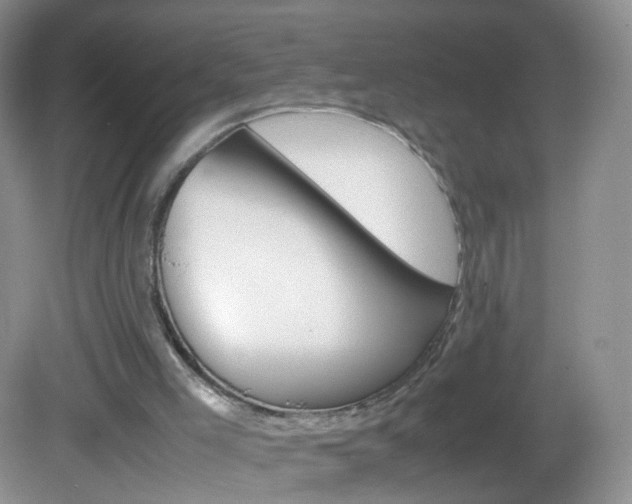 X0000082940005200702011124