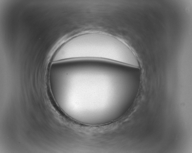 X0000082940007200702011124