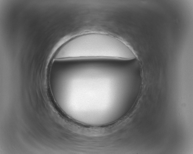 X0000082940008200702011124