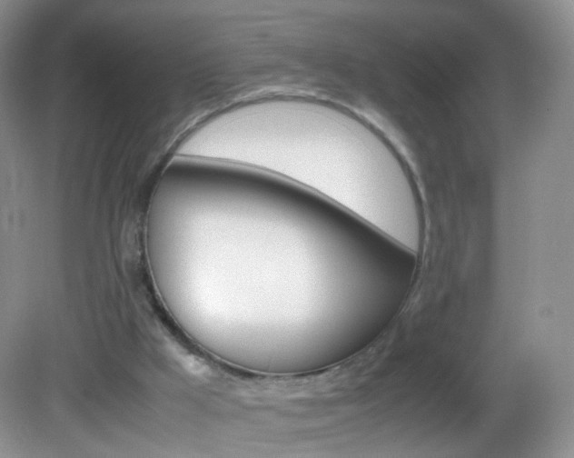 X0000082940009200702011124